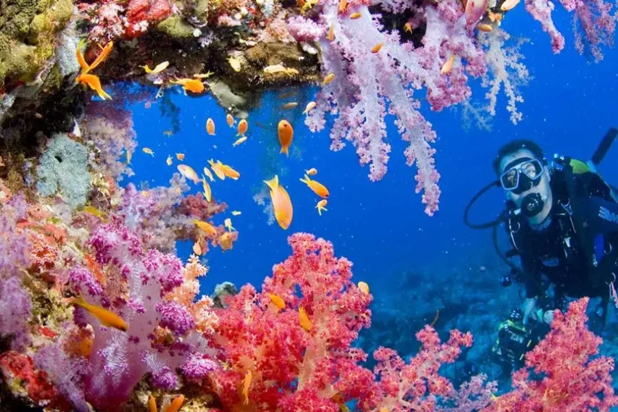 다합에서 다이빙하기